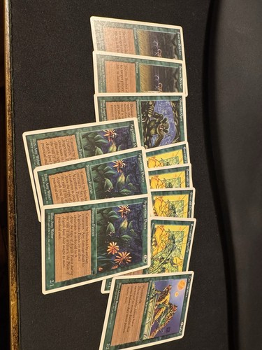 Magic the gathering - the,