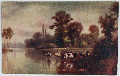 Vintage land milk - vintage, and