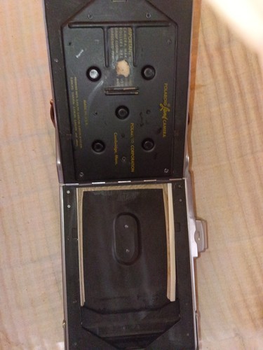 Vintage polaroid model - vintage, land