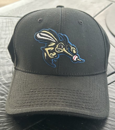 Vintage sugar land - vintage, skeeters