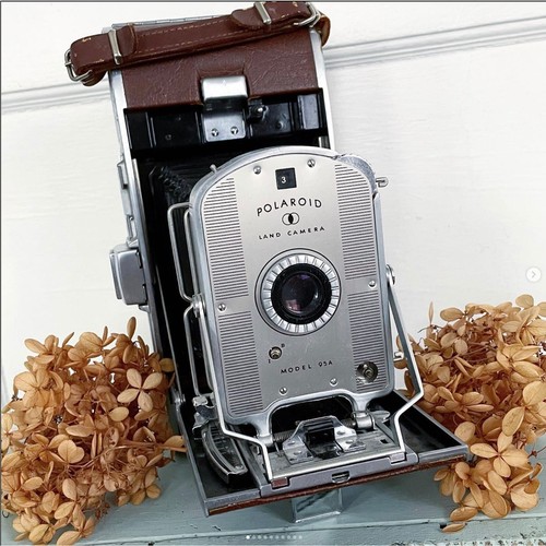 Vintage polaroid land - vintage, camera
